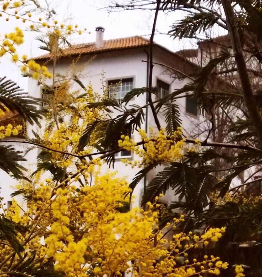Casa Do Rio Hotel Termas de Sao Pedro do Sul ภายนอก รูปภาพ